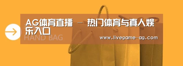 手提袋
