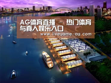 案例展示八(图1) 案例展示八(图1)