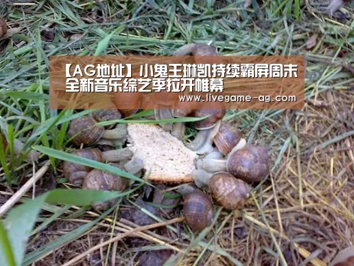 AG百家乐